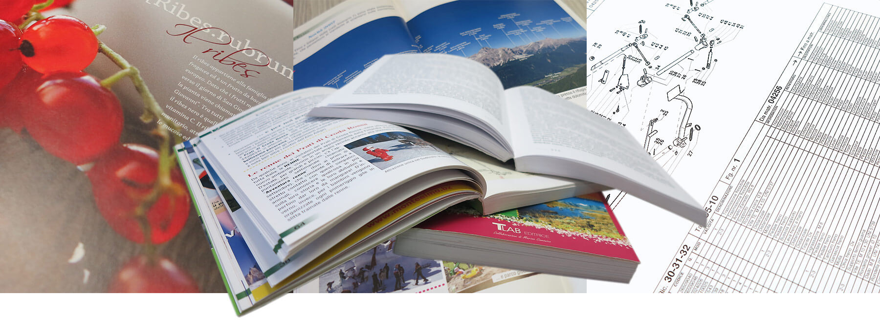 Texte für diverse Bereiche